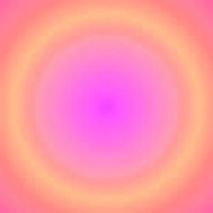 Meet your Posher, Kenzie